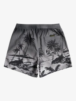 Quiksilver Everyday Paradise 15" - Short De Bain Pour Homme -Tenue De Surf eqyjv03999 quiksilverf kvj6 bck1