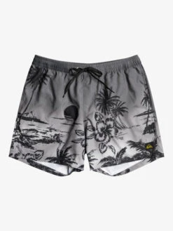 Quiksilver Everyday Paradise 15" - Short De Bain Pour Homme -Tenue De Surf eqyjv03999 quiksilverf kvj6 frt1
