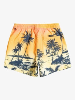 Quiksilver Everyday Paradise 15" - Short De Bain Pour Homme -Tenue De Surf eqyjv03999 quiksilverf mhv6 bck1