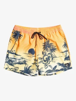 Quiksilver Everyday Paradise 15" - Short De Bain Pour Homme -Tenue De Surf eqyjv03999 quiksilverf mhv6 frt1