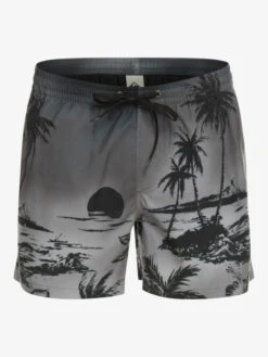 Quiksilver Everyday Paradise 15" - Short De Bain Pour Homme -Tenue De Surf eqyjv03999 quiksilverv kvj6 frt1