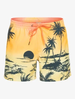 Quiksilver Everyday Paradise 15" - Short De Bain Pour Homme -Tenue De Surf eqyjv03999 quiksilverv mhv6 frt1