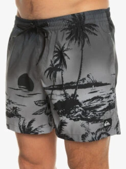 Quiksilver Everyday Paradise 15" - Short De Bain Pour Homme -Tenue De Surf eqyjv03999 quiksilverw kvj6 frt3