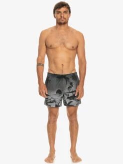 Quiksilver Everyday Paradise 15" - Short De Bain Pour Homme -Tenue De Surf eqyjv03999 quiksilverw kvj6 frt9