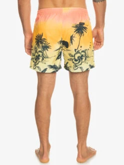 Quiksilver Everyday Paradise 15" - Short De Bain Pour Homme -Tenue De Surf eqyjv03999 quiksilverw mhv6 bck1