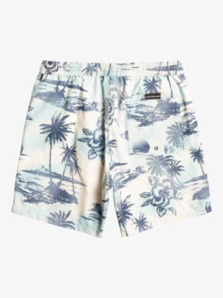 Quiksilver Everyday Mix 17" - Short De Bain Pour Homme -Tenue De Surf eqyjv04002 quiksilverf wdw6 bck1