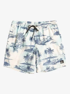 Quiksilver Everyday Mix 17" - Short De Bain Pour Homme -Tenue De Surf eqyjv04002 quiksilverf wdw6 frt1