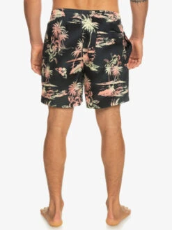 Quiksilver Everyday Mix 17" - Short De Bain Pour Homme -Tenue De Surf eqyjv04002 quiksilverw kvj6 bck1