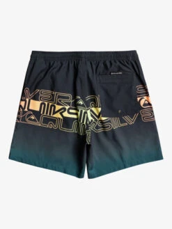Quiksilver Everyday Wordblock 17" - Short De Bain Pour Homme -Tenue De Surf eqyjv04005 quiksilverf kvj6 bck1