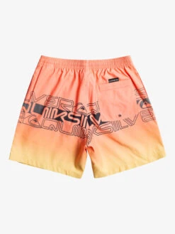 Quiksilver Everyday Wordblock 17" - Short De Bain Pour Homme -Tenue De Surf eqyjv04005 quiksilverf mhv6 bck1