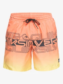 Quiksilver Everyday Wordblock 17" - Short De Bain Pour Homme -Tenue De Surf eqyjv04005 quiksilverv mhv6 frt1