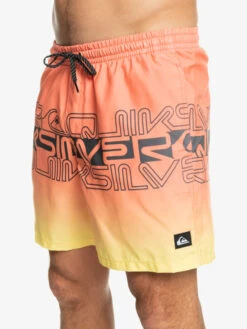Quiksilver Everyday Wordblock 17" - Short De Bain Pour Homme -Tenue De Surf eqyjv04005 quiksilverw mhv6 frt3