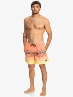 Quiksilver Everyday Wordblock 17" - Short De Bain Pour Homme -Tenue De Surf eqyjv04005 quiksilverw mhv6 frt9