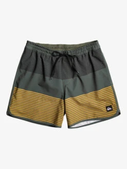 Quiksilver Surfsilk Tijuana 16" - Short De Bain Pour Homme