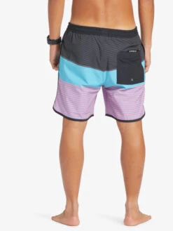 Quiksilver Surfsilk Tijuana 17" - Short De Bain Pour Homme -Tenue De Surf eqyjv04013 quiksilverw kvj7 bck1