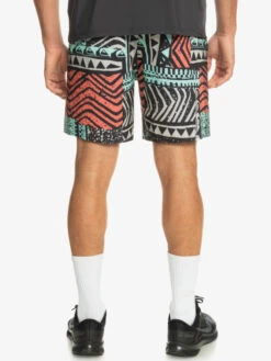 Quiksilver Highlite Omni Short - Short De Bain Pour Homme -Tenue De Surf eqyjv04018 quiksilverw sfv6 bck1