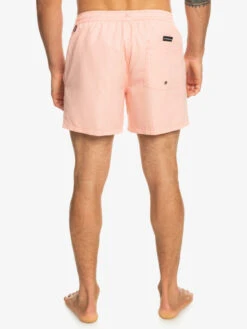 Quiksilver Everyday Deluxe 15" - Short De Bain Pour Homme -Tenue De Surf eqyjv04019 quiksilverw mhv0 bck1