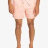 Quiksilver Everyday Deluxe 15" - Short De Bain Pour Homme