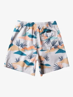 Quiksilver Everyday Mix 17" - Short De Bain Pour Homme 15 Quiksilver Everyday Mix 17" - Short De Bain Pour Homme -Tenue De Surf eqyjv04022 quiksilverf wdw7 bck1