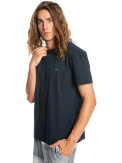 Quiksilver Essentials - T-shirt En Matière Biologique Pour Homme