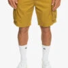 Quiksilver Relaxed - Short Cargo Pour Homme