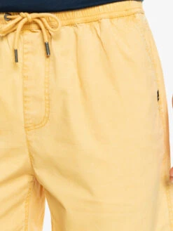 Quiksilver Taxer - Short Taille élastique Pour Homme -Tenue De Surf eqyws03827 quiksilverw ygy0 frt4