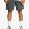 Quiksilver Saturn Taxer - Short Taille élastique Pour Homme