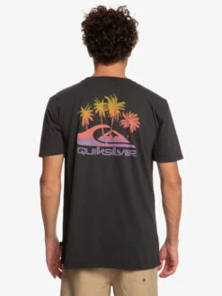 Quiksilver Pastime Paradise - T-shirt Pour Homme -Tenue De Surf eqyzt07252 quiksilverw kvj0 bck1